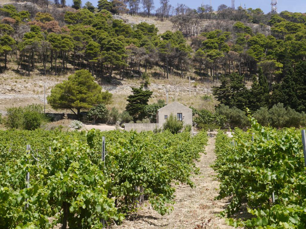 Casa Nel Vigneto Erice 게스트하우스 외부 사진