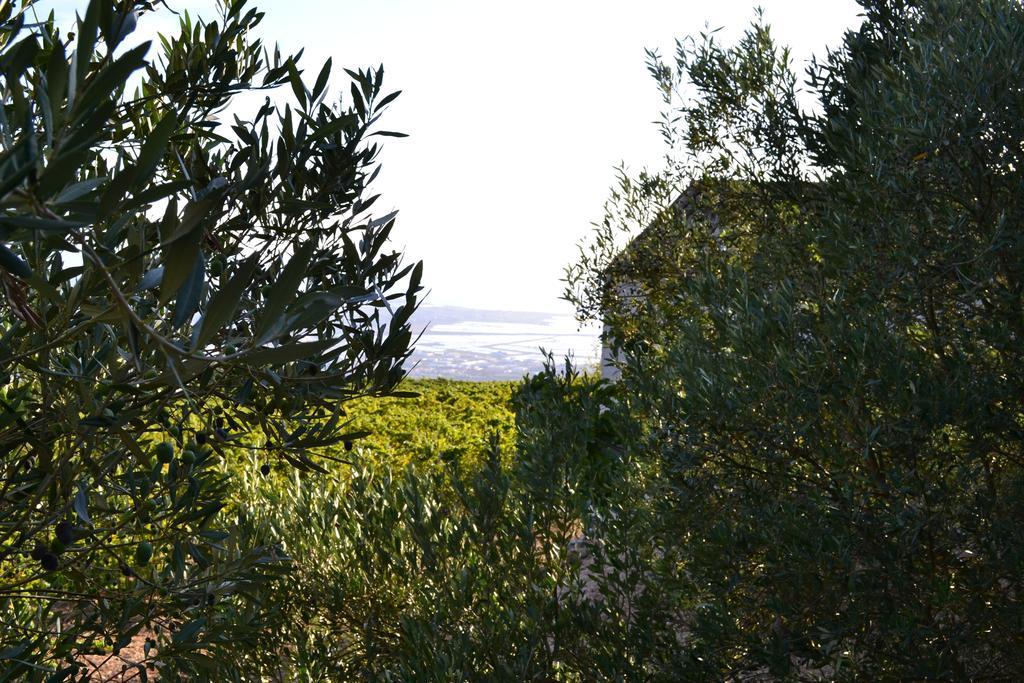 Casa Nel Vigneto Erice 게스트하우스 외부 사진